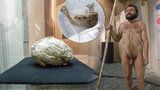 Neandrtálská žena spadla do vřídla a utonula: V Brně vystavují její zkamenělý mozek
