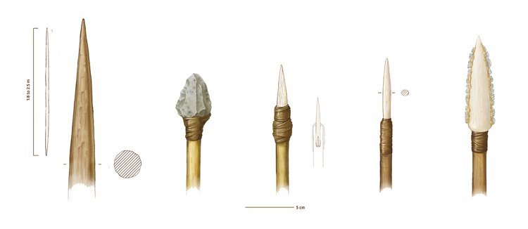 Rekonstrukce hrotů oštěpů z archeologického naleziště Stelida. Nejstarší paleolitické jsou nalevo, nejmladší mezolitické napravo