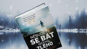 Recenze: „Nebudete se bát ničeho zlého“ slibuje kniha plná překvapení marně. Strach přijde!