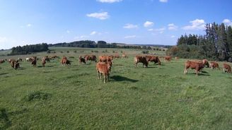 Miliardář Chrenek bude farmařit. K ocelárnám a veterinám přikoupil agropodnik 