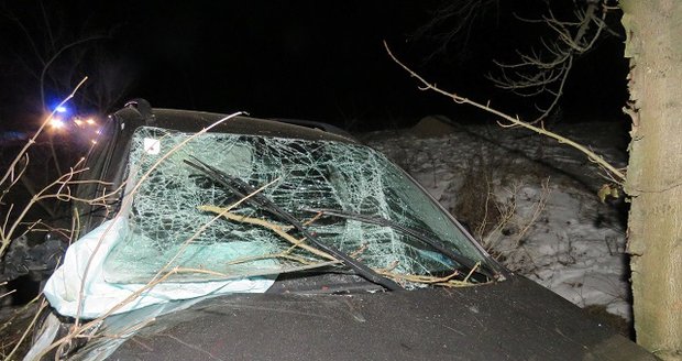 Cizinec měl při nehodě na Znojemsku víc štěstí než rozumu. Nepřipoutaný proletěl po nárazu do stromu čelním sklem.