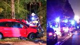 Smrtelná nehoda u Plzně: Mercedes řídil celostátně hledaný muž!