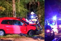 Smrtelná nehoda u Plzně: Mercedes řídil celostátně hledaný muž!