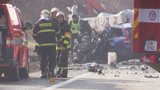 Vánoční tragédie na severu Čech: Jeden řidič zemřel po nárazu do stromu, druhý po čelní srážce