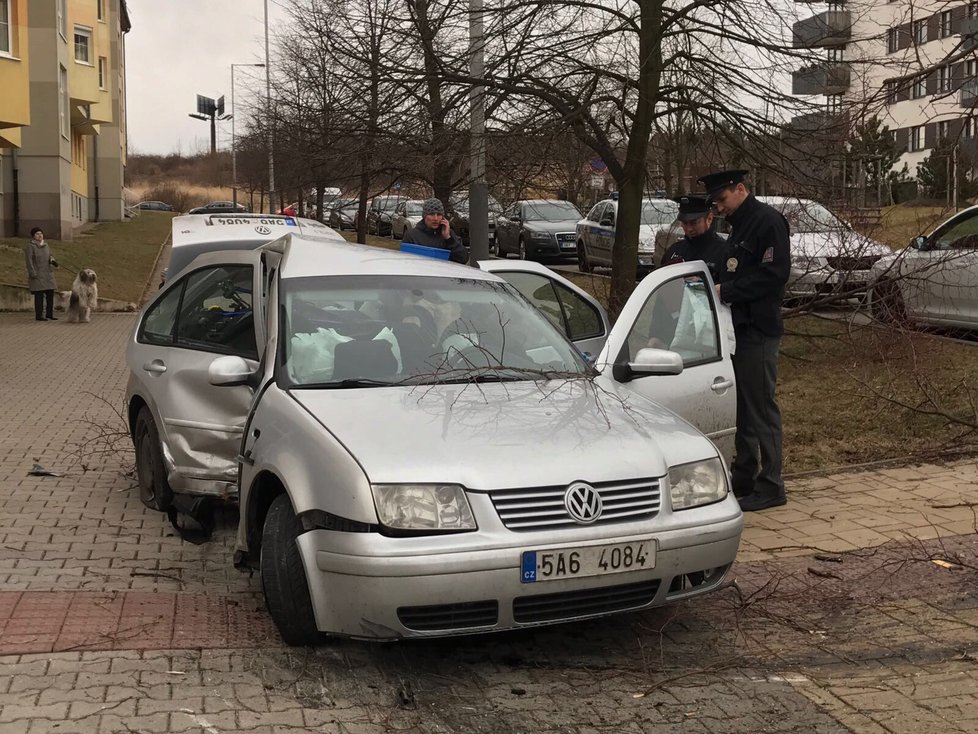 Řidič kradeného auta narazil do stromu a odešel.