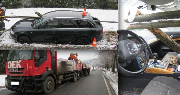 Audinu odhodil náklaďák do dřevěných „svodidel“: Prošpikovaly ji dva kůly