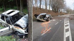 Na Mladoboleslavsku v sobotu auto narazilo do stromu, dva muži zemřeli. (Ilustrační foto)