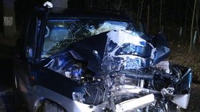 Noční nehoda u Konopiště: Řidič skončil mimo vozovku, náraz do stromu nepřežil
