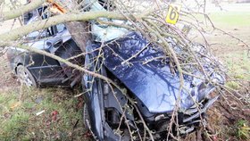 Řidička na Děčínsku narazila do stromu, spolujezdec (†70) na místě zemřel