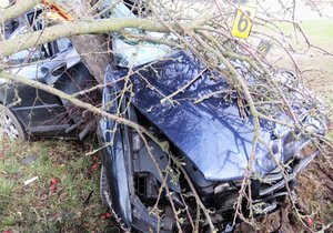 Smrtí řidiče skončil náraz osobního auta do stromu. Ilustrační foto.