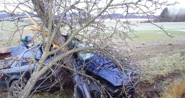 Mladík omotal auto kolem stromu.