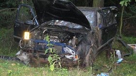 Holčička (2) zemřela v tomto vraku po nárazu auta do stromu