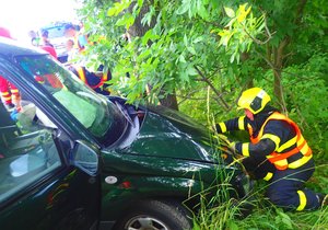 U Raduně na Opavsku narazilo auto do stromu. Cestovalo v něm pět lidí, z toho dvě děti.