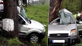 Smrt na sedadle spolujezdce: Auto u Budějovic vyletělo ze silnice přímo do stromu