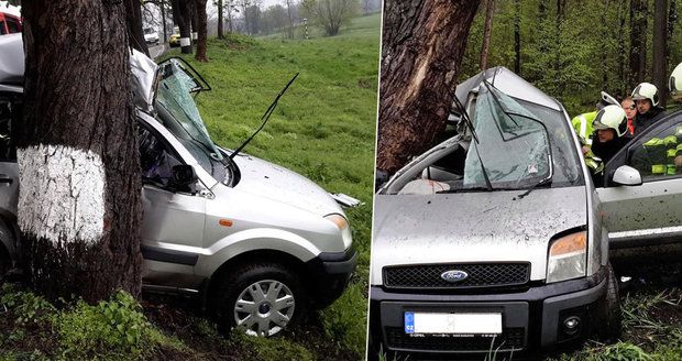 Smrt na sedadle spolujezdce: Auto u Budějovic vyletělo ze silnice přímo do stromu