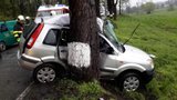 Čechy na silnicích zabíjí panika. Nejčastěji umírají po nárazu do stromu
