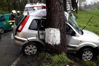 Čechy na silnicích zabíjí panika. Nejčastěji umírají po nárazu do stromu