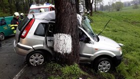 Po nárazu osobního auta do stromu zemřel dnes vpodvečer u Hrdějovic na Českobudějovicku spolujezdec, řidič byl zraněn. Na svém webu to oznámili krajští hasiči. Okolnosti nehody vyšetřuje policie.