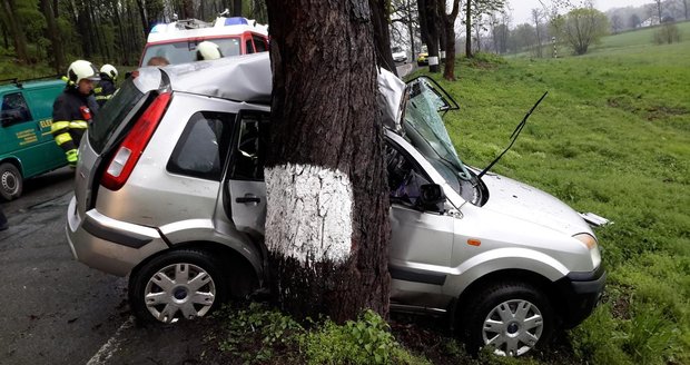 Čechy na silnicích zabíjí panika. Nejčastěji umírají po nárazu do stromu