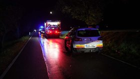 Pád ultralehkého letadla u Vranova (31. 10. 2026)
