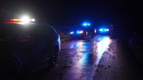 Pád ultralehkého letadla u Vranova (31. 10. 2026)