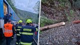 Vlak na Berounsku narazil do stromu: Evakuace 200 cestujících a zastavení provozu!