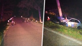 Mezi obcemi Blatná a Bělčice došlo v neděli večer ke smrtelné dopravní nehodě.