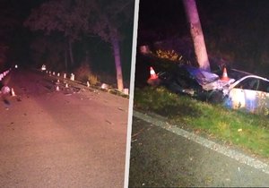 Mezi obcemi Blatná a Bělčice došlo v neděli večer ke smrtelné dopravní nehodě.