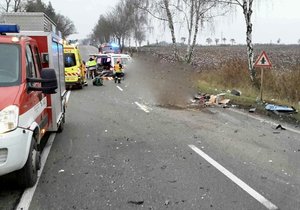 Policisté hledají svědky tragické nehody, která se stala na silnici I/43 u odbočky na Lysice poblíž Bořitova v pondělí 30. listopadu 2020 kolem 15.30.