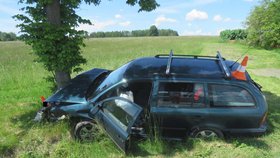 Nehodu u Borovan v jižních Čechách odneslo 5 lidí.