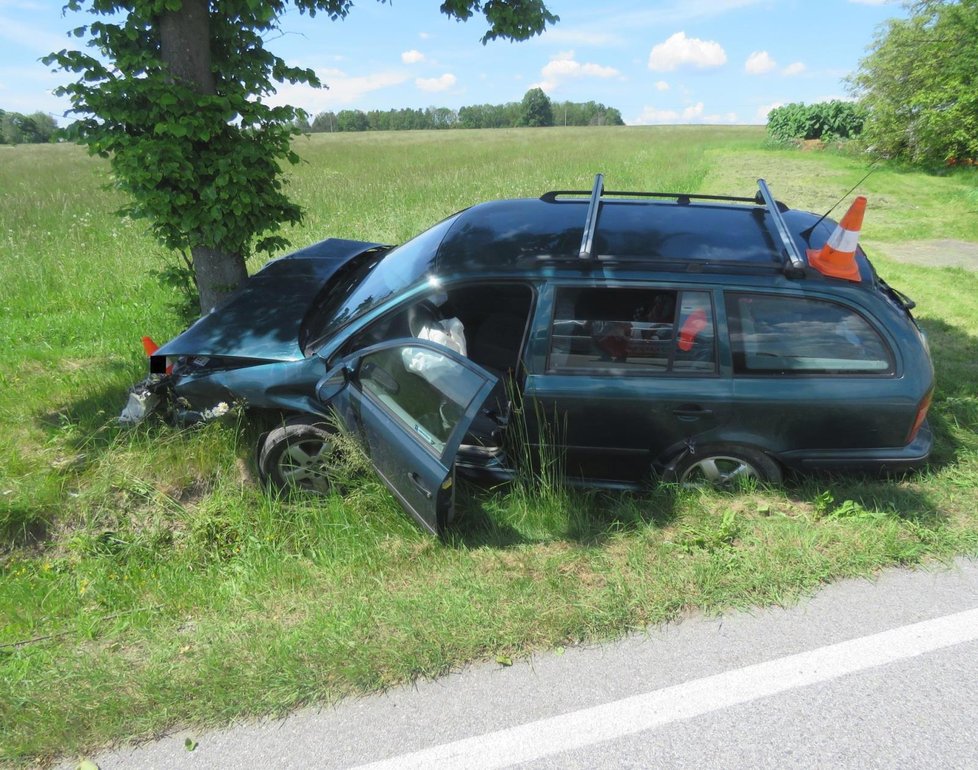 Nehodu u Borovan v jižních Čechách odneslo 5 lidí.