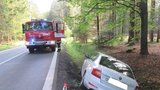 Mladou řidičku na Domažlicku vyděsil kanec: Poslala auto do příkopu, skončila v nemocnici