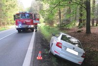 Mladou řidičku na Domažlicku vyděsil kanec: Poslala auto do příkopu, skončila v nemocnici