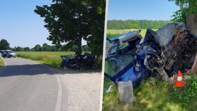 Tragická nehoda na Českobudějovicku: Mladá řidička narazila do stromu!