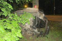 Smrtelná nehoda u Chebu: Auto narazilo do stromu, zemřela spolujezdkyně (31)