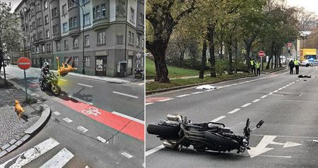 Žena (†35) a pes zemřeli po srážce s motorkou na Smíchově v listopadu 2019