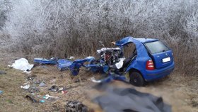 U Plané na Tachovsku zemřeli dva lidé po srážce s kamionem