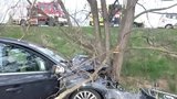 Řidič vyletěl u Pohořelic ze silnice a trefil strom: Jako zázrakem celá posádka přežila!