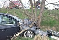 Řidič vyletěl u Pohořelic ze silnice a trefil strom: Jako zázrakem celá posádka přežila!