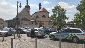 Policie honičku ukončila v Brandýsu nad Labem.