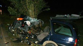 Osmnáctiletý spolujezdec zemřel a další čtyři mladí lidé se vážně zranili při nehodě, která se stala ve čtvrtek 11. června v noci u obce Borovice na Domažlicku.