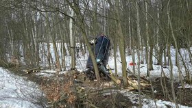 Při nehodě u Dolních Niv zemřel v autě muž po nárazu do stromu.