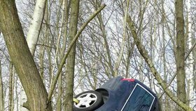Při nehodě u Dolních Niv zemřel v autě muž po nárazu do stromu.