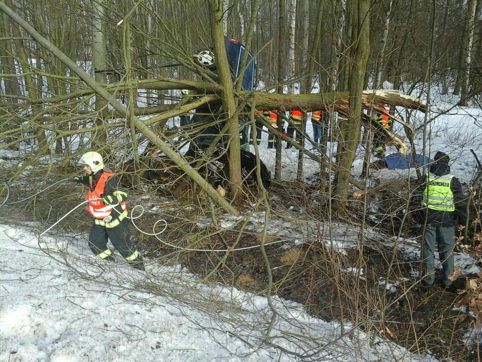 Při nehodě u Dolních Niv zemřel v autě muž po nárazu do stromu.