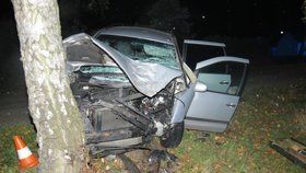 Řidič zemřel po nárazu do stromu