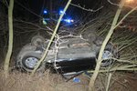 Bez závažných komplikací naštěstí vyvázly z nehody řidička a dívka poté, co jim do cesty u Veselí nad Moravou skočila srna.