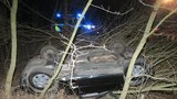 Srna zaskočila řidičku: Žena převrátila auto na střechu a zranila sebe i dítě, zvíře přežilo