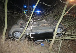 Bez závažných komplikací naštěstí vyvázly z nehody řidička a dívka poté, co jim do cesty u Veselí nad Moravou skočila srna.