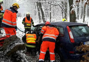 Řidič kamionu (29) nepřizpůsobil rychlost na silnici I/40 mezi Břeclaví a Valticemi. V lese smetl z cesty osobní auto.