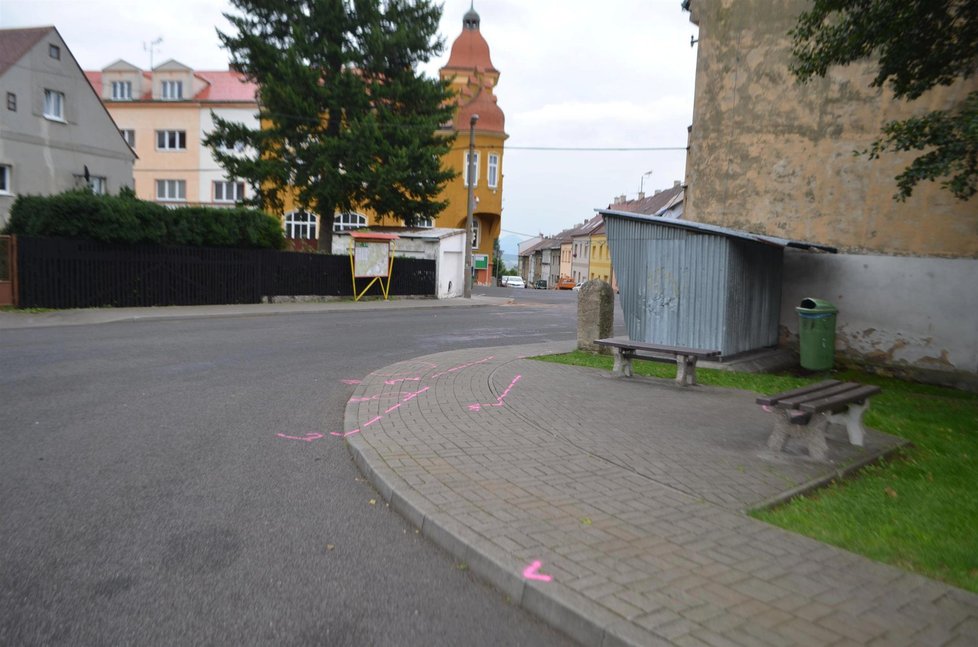 Daniela (15) se za zastávkou otáčela v Nissanu Micra. Nezvládla řízení a srazila Danielu, která stála před zastávkou s kočárkem, ve kterém bylo dítě. Auto pak narazilo do zdi.